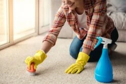 BiOHY Teppichshampoo (12x1l Flasche) | Teppichreiniger Ideal Zur Entfernung Von Hartnäckigen Flecken | SPEZIELL FÜR WASCHSAUGER ENTWICKELT -Reinigungsmittel Laden 16b899a8 86af 4219 b263 d26b788a4e7b